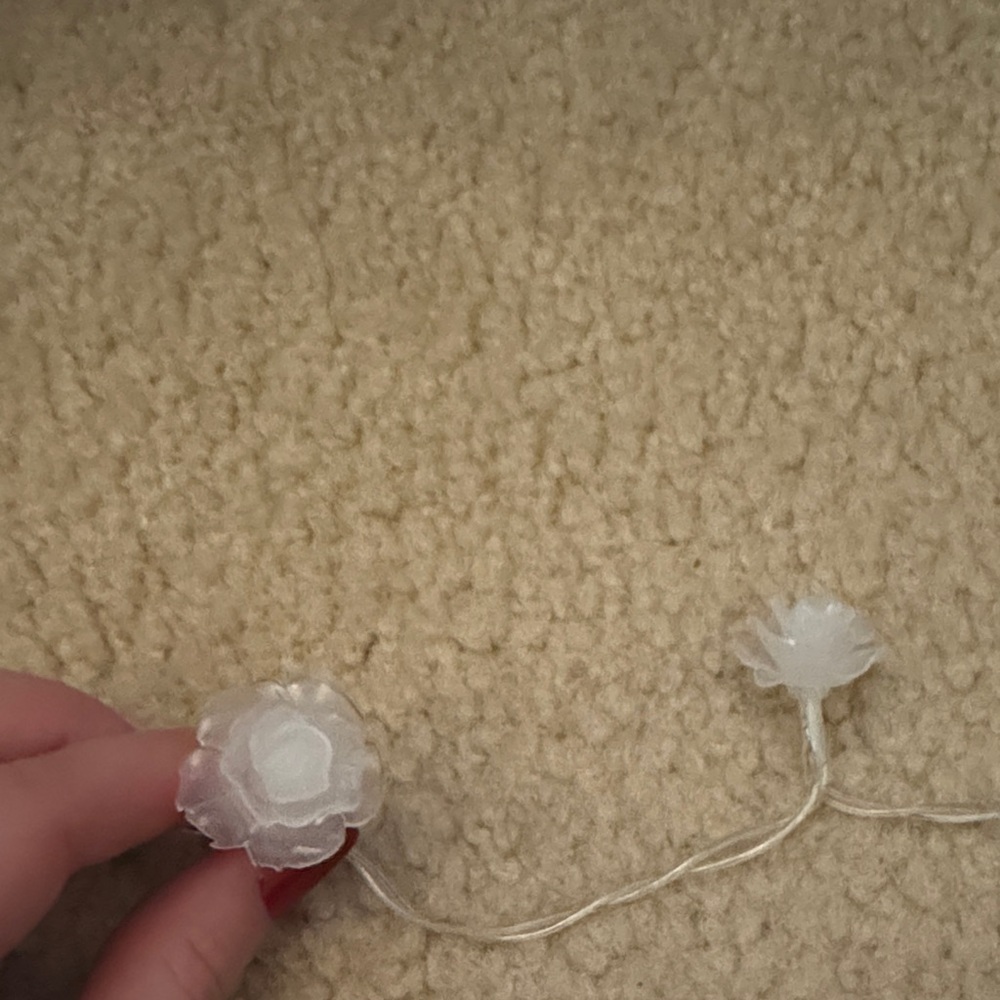 Rose String Lights - Picture 3 of 4